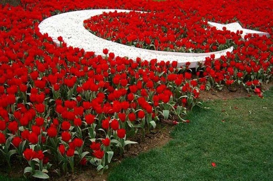Стамбульский фестивале тюльпанов ждет гостей 1 апреля 2017 года