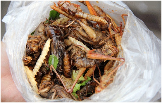 Желаете попробовать тайские изысканные блюда? Тогда будьте готовы к поеданию насекомых!