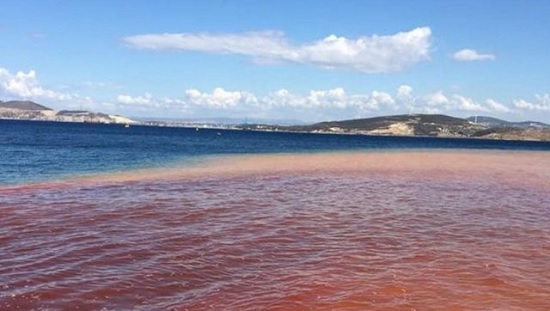 Турецкие журналисты зафиксировали на снимках коричневый Босфор и красное море в Измире