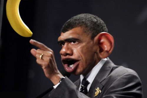 Barack-Obama-Monkey-64727