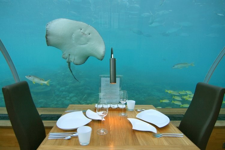 подводный отель на мальдивах фото