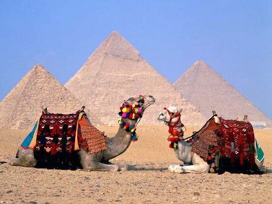 Когда ждать открытия авиасообщения Египтом?