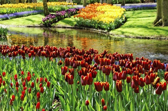Волшебные сады Амстердама: самый зеленый город в Европе