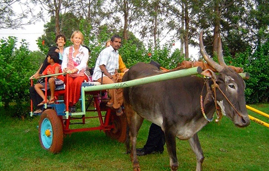 Фермерский туризм - последние тенденции в мире путешествий!