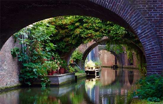 Какие города Нидерландов стоит посетить помимо Амстердама?