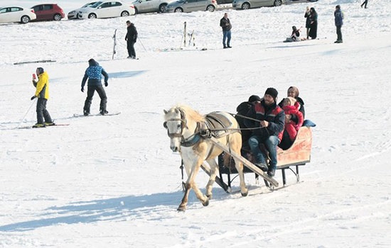 Катание на русской тройке в горнолыжном центре Джибилтепе в Сарыкамыш открыто для сезона