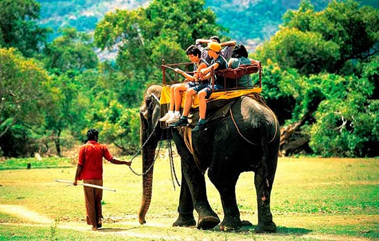 Семейный отдых на Шри-Ланке