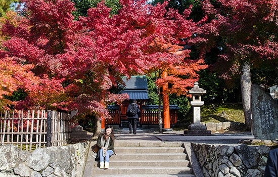 Красивые сады японского города Киото