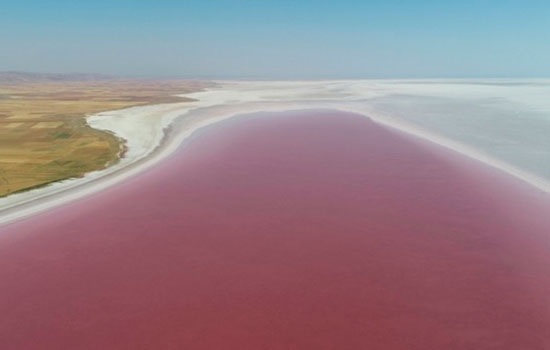 Цветение водорослей окрашивает турецкое озеро Туз в красный, открывая уникальный вид для посетителей
