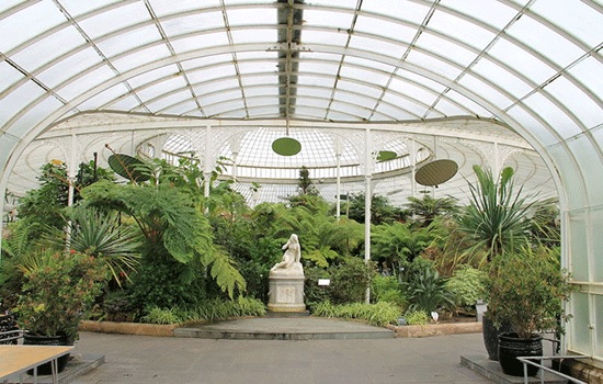 Ботанический сад в Глазго