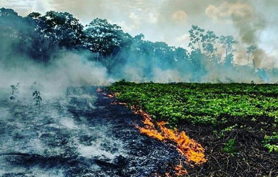 Из-за сильного пожара в тропических лесах Амазонки туризм ослабевает