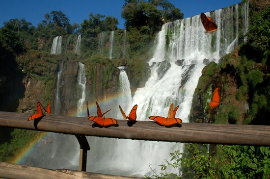 Водопад Игуасу в Аргентине – сказочный мир водопадов