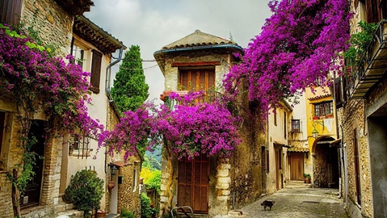 Регион Прованс — область прекрасной архитектуры и природы