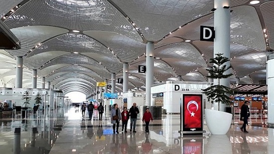 Турция может ввести комендантский час и частичную блокировку – новость Reuters