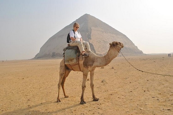  «Туристов на экскурсиях в Египте пересаживают с верблюдов - на электромобили и автобусы!»
