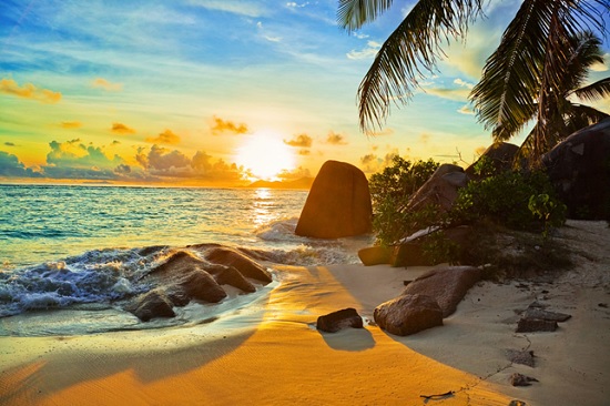 8 увлекательных фактов о Сейшельских островах