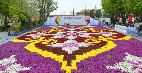 Фестиваль тюльпанов в Стамбуле — посмотрите на Турцию в мире цветов