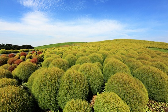Национальный парк Хатачи — удивительное место в Японии