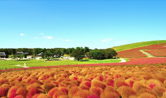 Национальный парк Хатачи — удивительное место в Японии