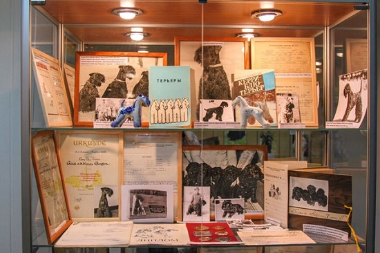 Музей собаки в Москве – место, посвящённое дружбе четвероногих животных с людьми