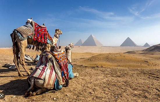 Какие особенности отдыха в Египте в феврале?