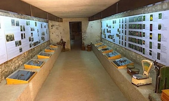 Музей сыра в Турции можно посетить бесплатно