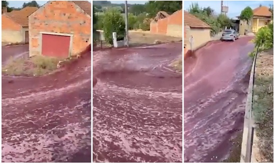 Винные реки: улицы португальского города Анадия затопило вином