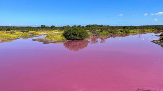 На Гавайях озеро стало ярко розовым: что это красивое явление или очередной знак беды?
