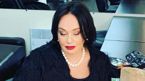 "Хотела десять детей": Гузеева показала пикантное архивное фото
