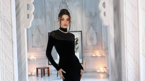 "Утонченная красавица": Ханде Эрчел покрасовалась в приталенном платье