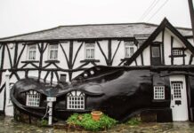 Огромный ботинок и египетский саркофаг: туристов приглашает в гости самый странный паб в мире