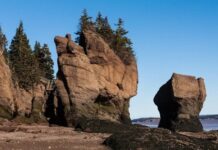 Феномен Фанди – уникальная возможность пройтись по дну океана