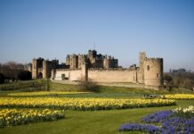 Замок Алник: реальный Хогвартс, который можно посетить