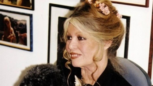 Умерла культовая французская актриса Брижит Бардо