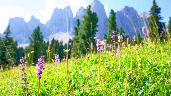 Зоны с ограниченным доступом появились на популярном курорте в Доломитовых Альпах