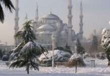 Что ожидает туристов в феврале в Стамбуле
