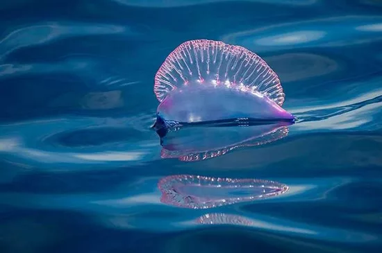 Пляжи популярного среди туристов курорта закрыты на неизвестный срок