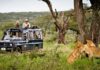 В Сафари парках ввели новые ограничения для туристов