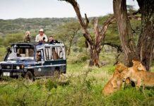 В Сафари парках ввели новые ограничения для туристов