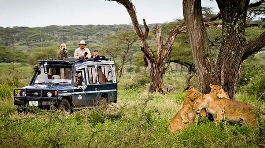 В Сафари парках ввели новые ограничения для туристов