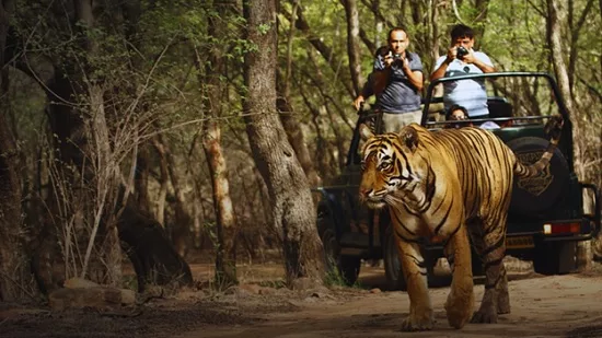 В Сафари парках ввели новые ограничения для туристов
