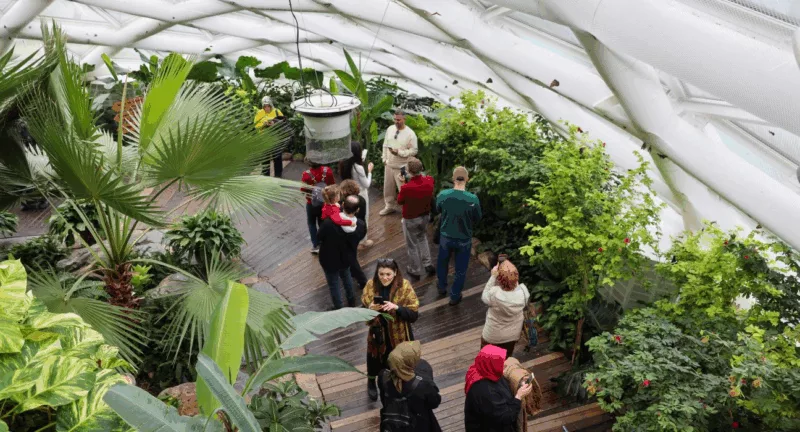 Удивительный парк в Турции