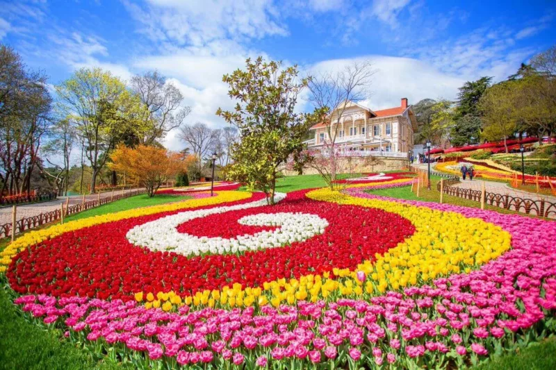 фестиваль тюльпанов в Турции