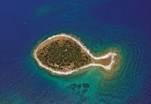После длительного перерыва остров Бирюни снова открыт для посещения