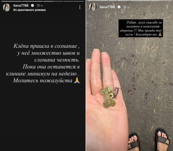 "У нее швы и сломана челюсть": на звезду "Уральских пельменей" и ее собаку напала овчарка 2 "У нее швы и сломана челюсть": на звезду "Уральских пельменей" и ее собаку напала овчарка