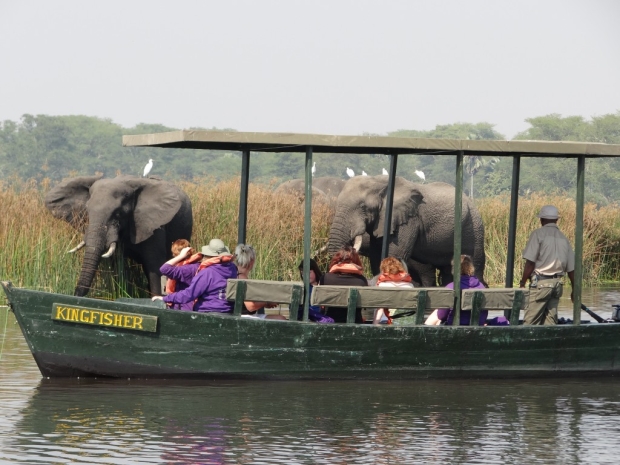 национальный парк Луангва в Замбии