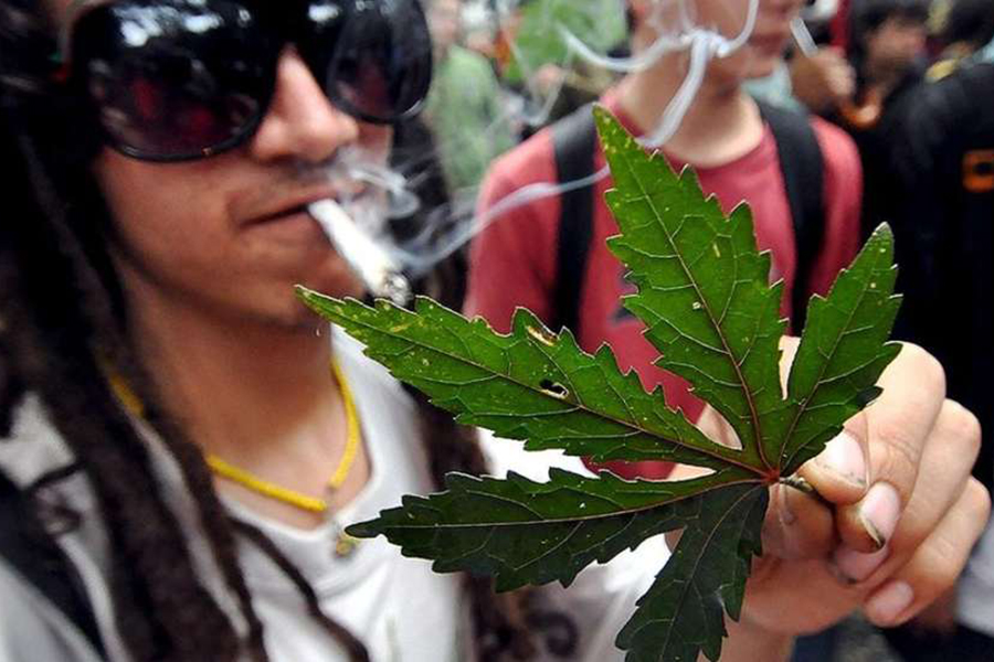 Курят в болгарии марихуану курят ли коноплю